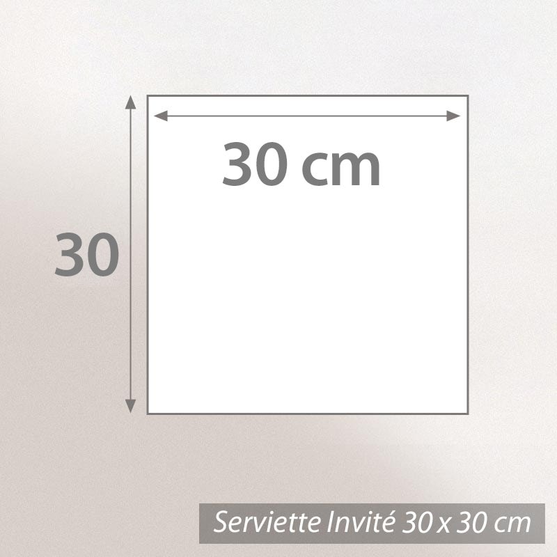 Serviettes Invité 30x30 Cm - Lot De 2 - 100% Coton, 550 G/m² - Blanc Pure - Fabriqué Au Portugal