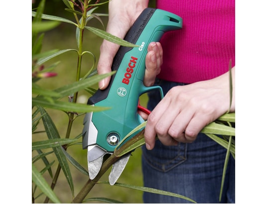Sécateur électrique BOSCH Ciso 855002 Pas Cher