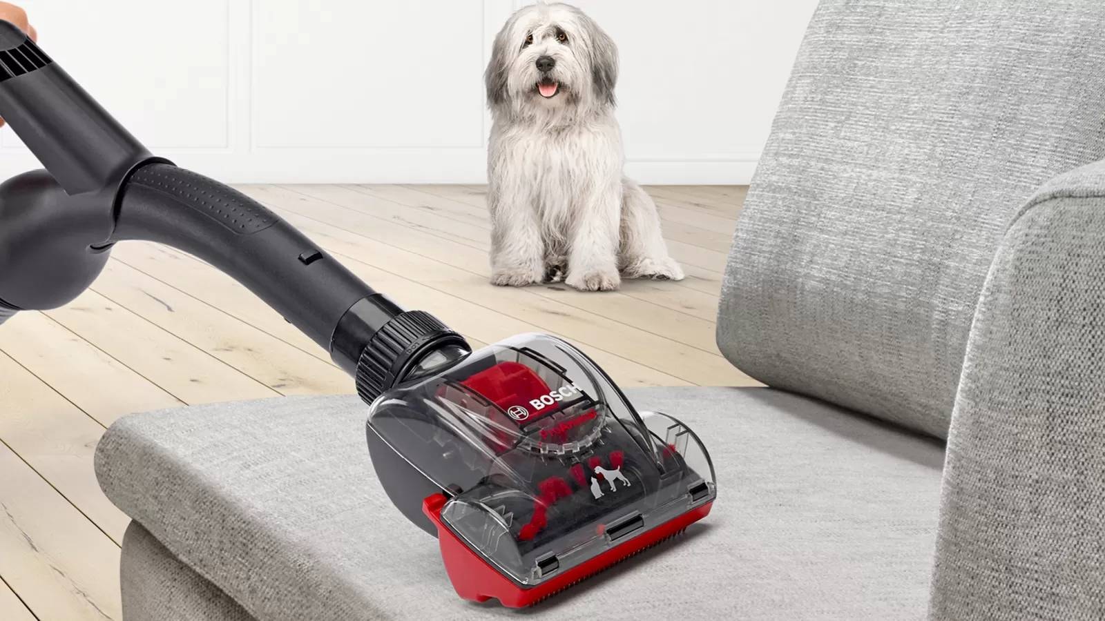 Aspirateur traîneau BOSCH BGS41PET1 ProAnimal rouge série 6 Pas Cher ...