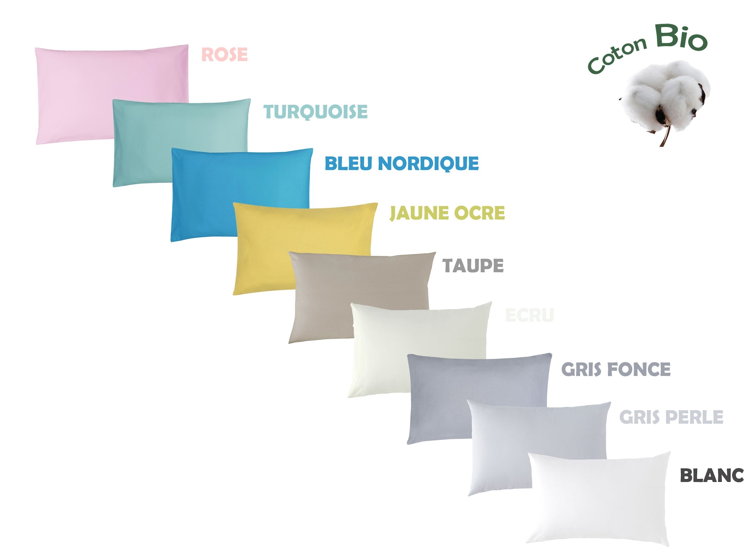 Taie D'oreiller Bébé 40x60 Cm – 100% Coton Bio 57 Fils – Certifié Sans Substances Nocives – Coloris écru – Marque Française P'tit Basile