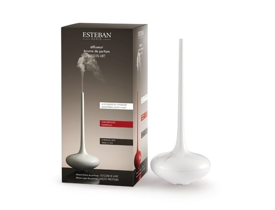 Diffuseur De Parfum Esteban – Occasion Fonctionnel – Parfait Pour Parfumer Ton Intérieur