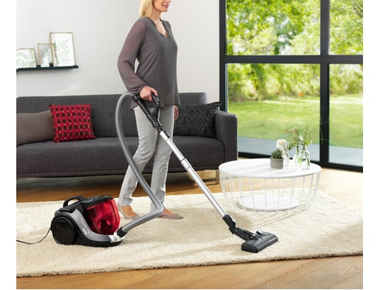 Animal Care Sac Rowenta Power Space Aspirateur Power Space Rowenta