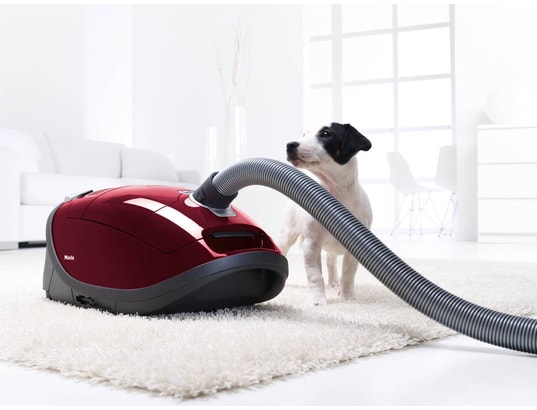 Miele aspirateur discount cat and dog