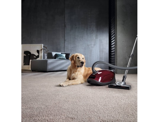 Aspirateur miele complete c3 cat&dog fashion